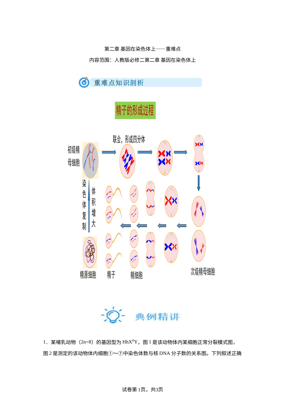 第二章 基因在染色体上&mdash;&mdash;重难点 第1页预览