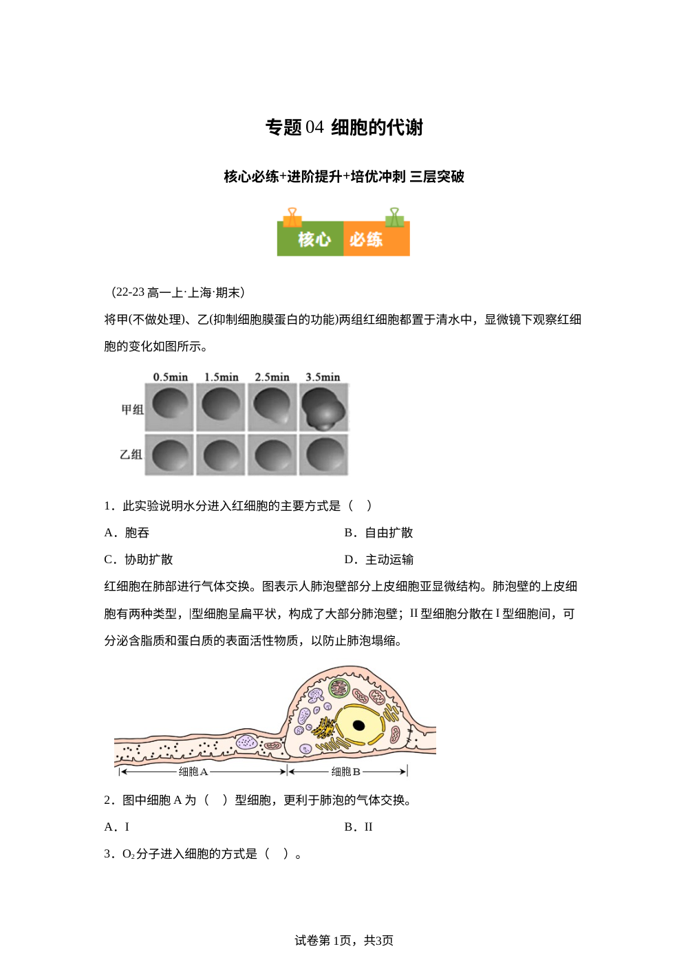 专题04 细胞的代谢（期末真题汇编，上海专用）高一生物上学期 第1页预览