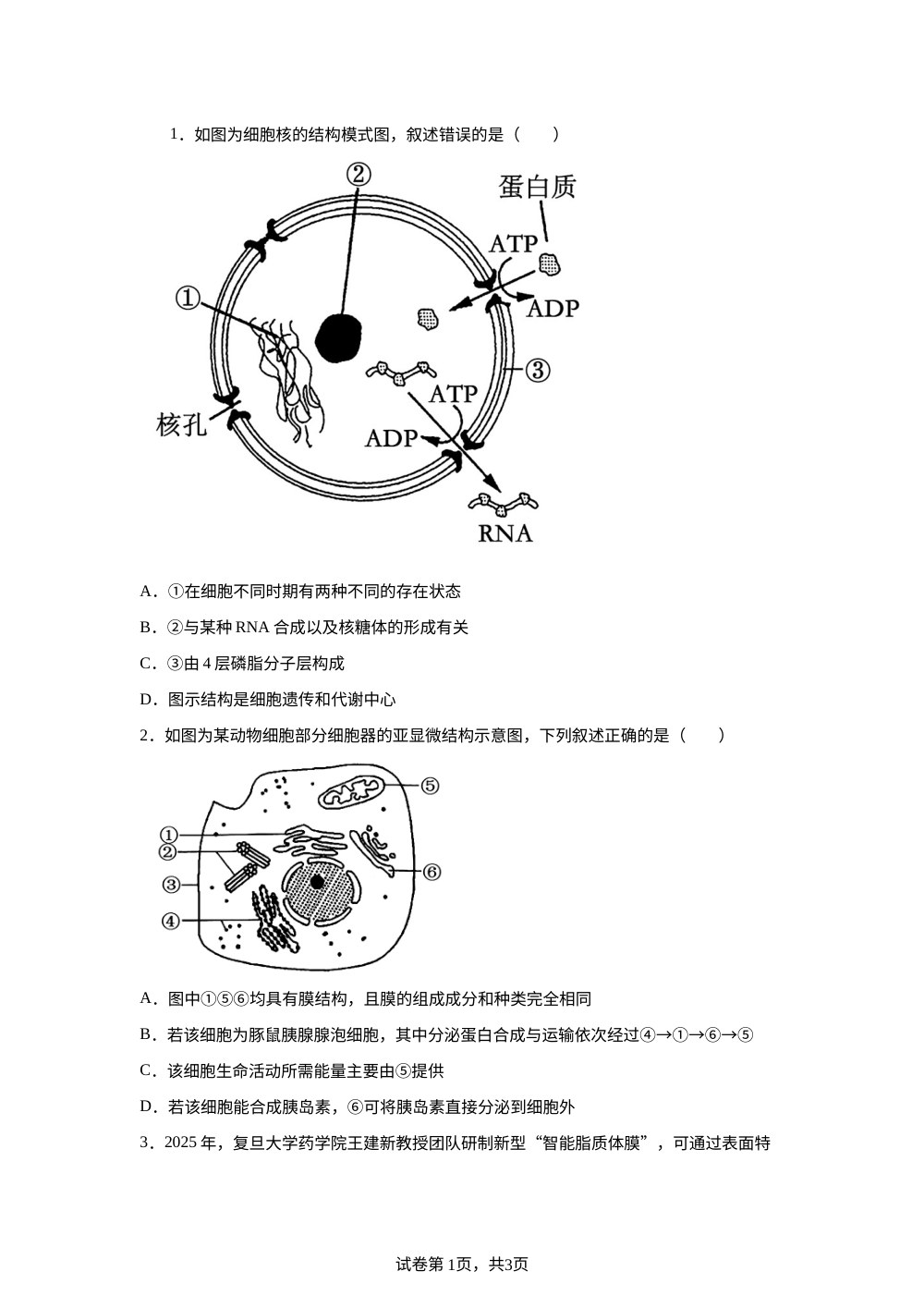 专题3 细胞的基本结构 第1页预览