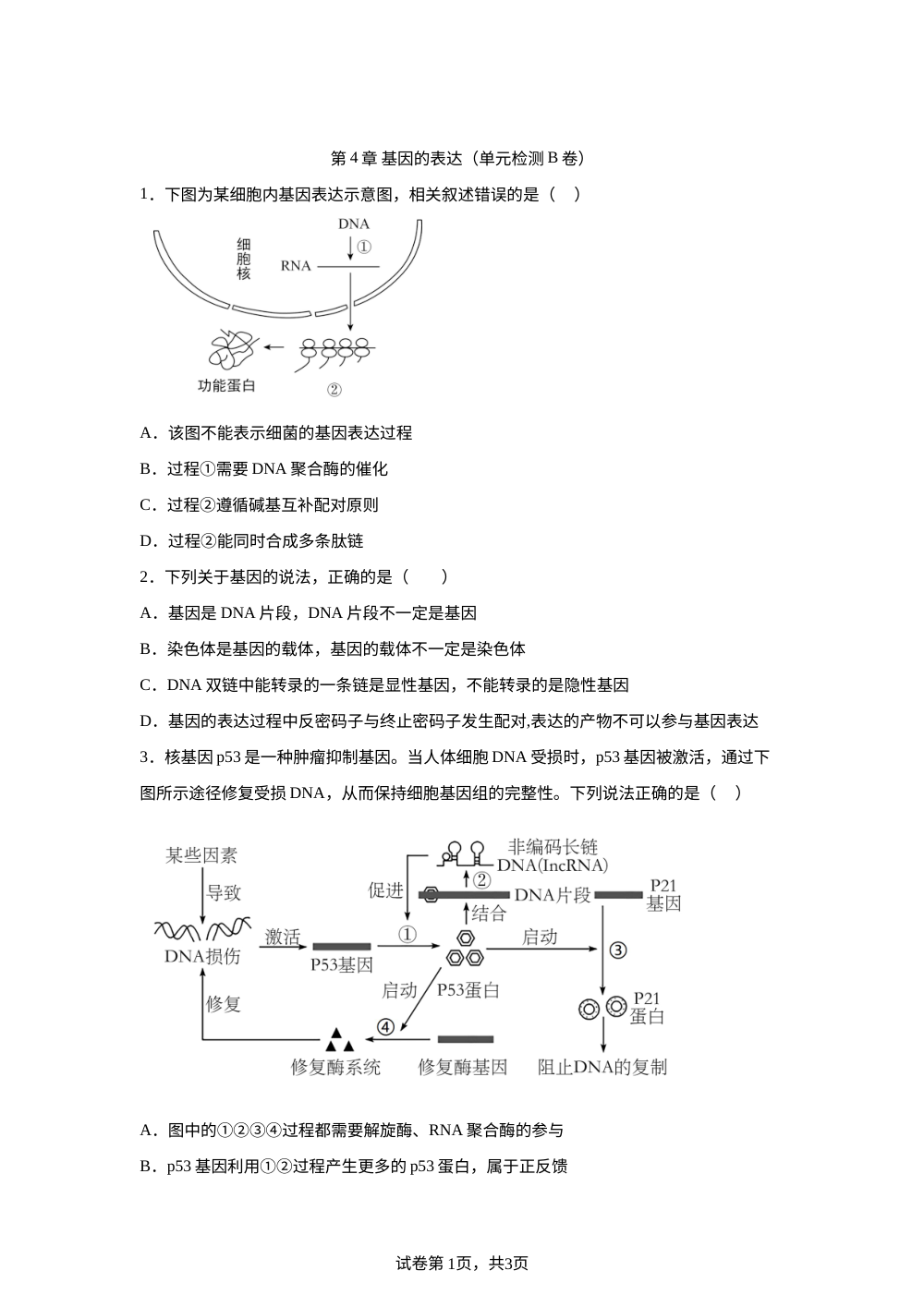 第4章  基因的表达（单元检测B卷） 第1页预览