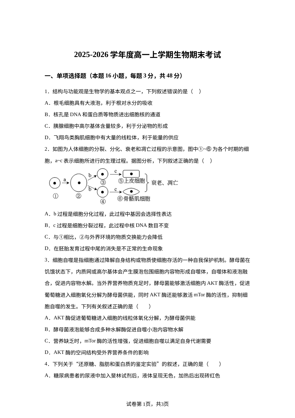 河南周口市沈丘县第一高级中学2025-2026学年度高一上学期生物期末考试 第1页预览
