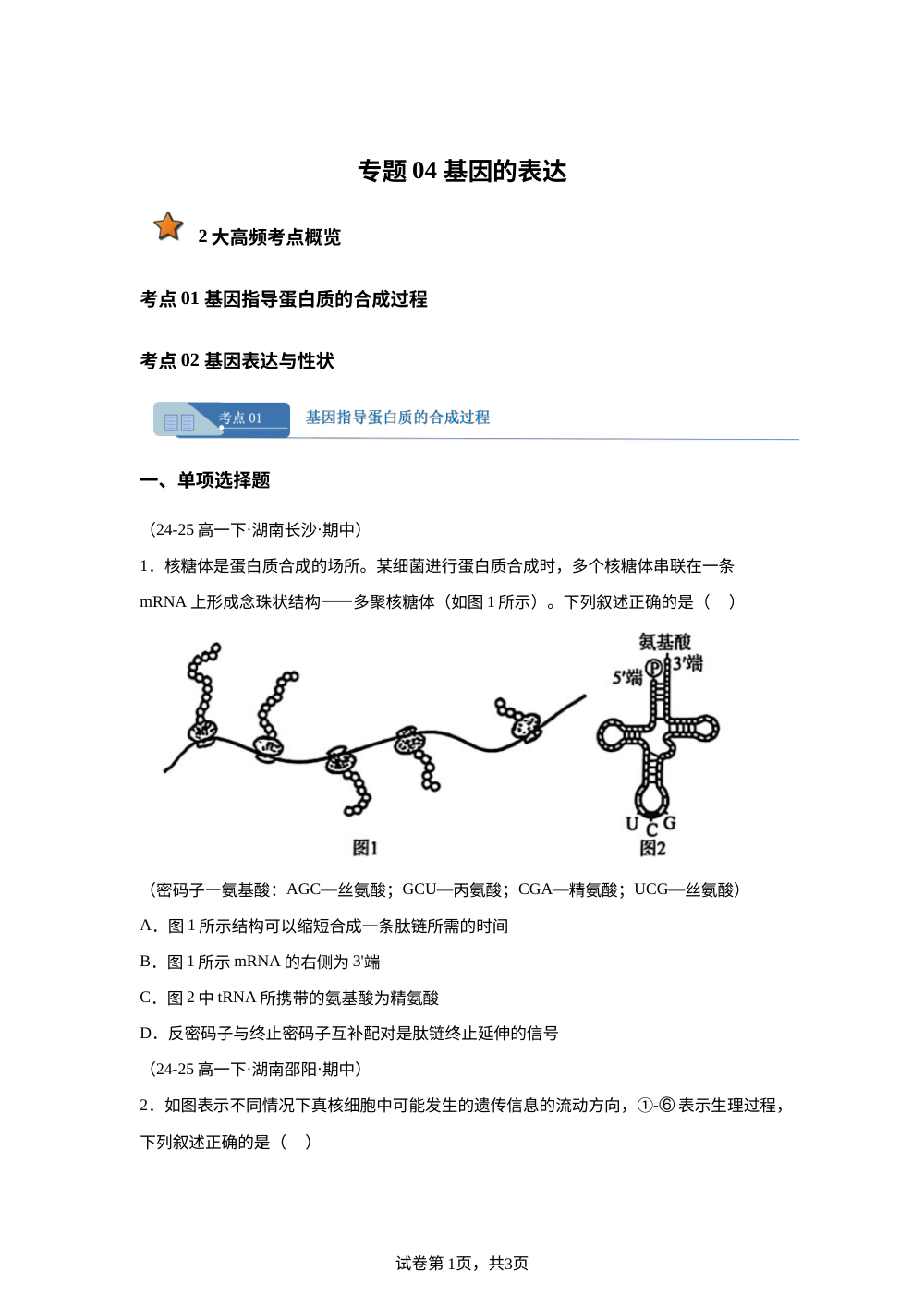 专题04 基因的表达（期中真题汇编，湖南专用）高一生物下学期 第1页预览