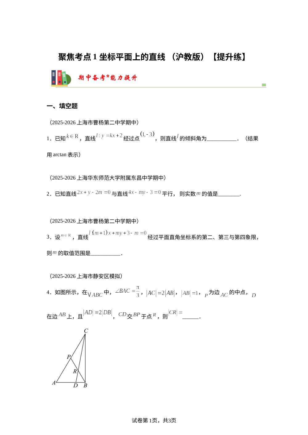 聚焦考点1  坐标平面上的直线 （沪教版）【提升练】 第1页预览