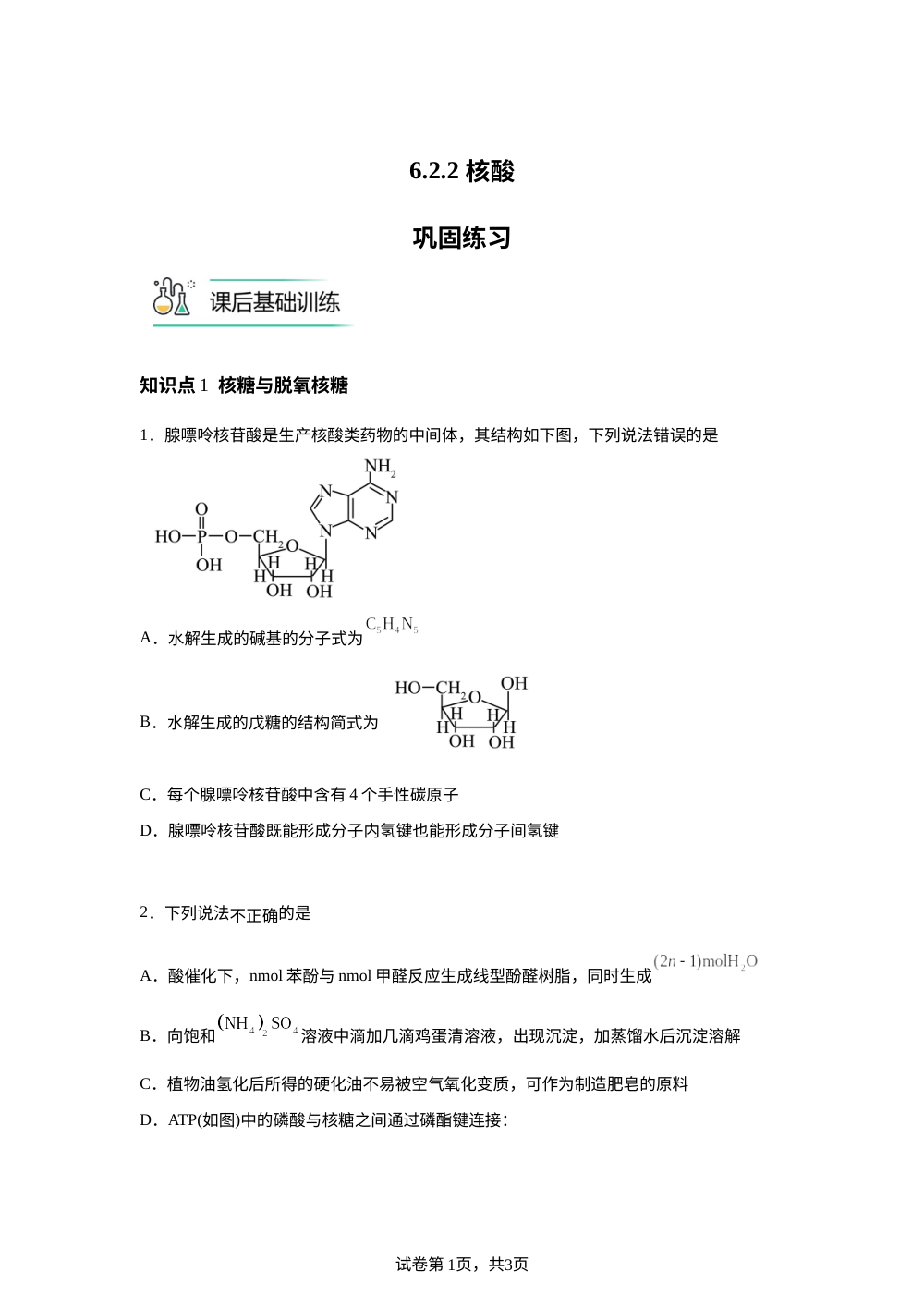 6.2.2 核酸巩固练习 第1页预览