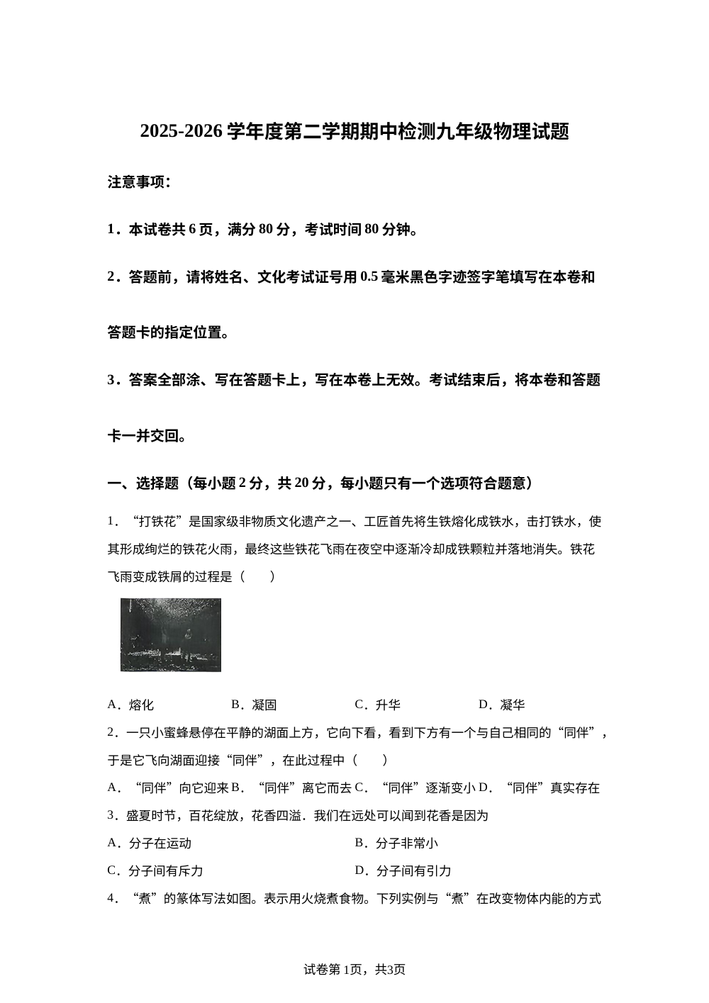 江苏徐州市沛县2025-2026学年九年级下学期期中检测物理试题 第1页预览