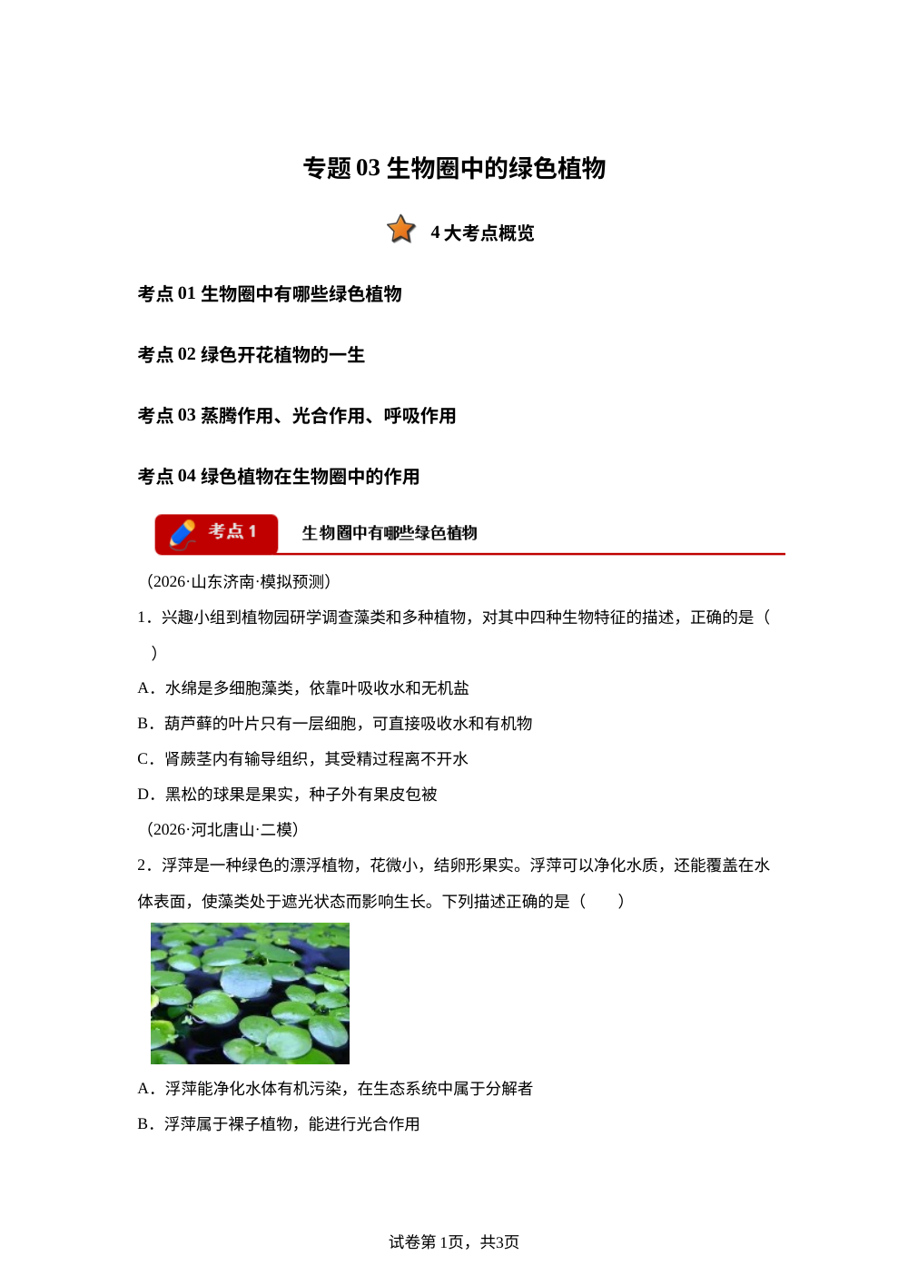 专题03 生物圈中的绿色植物（4大考点）（全国通用）2026年中考生物一模分类汇编 第1页预览