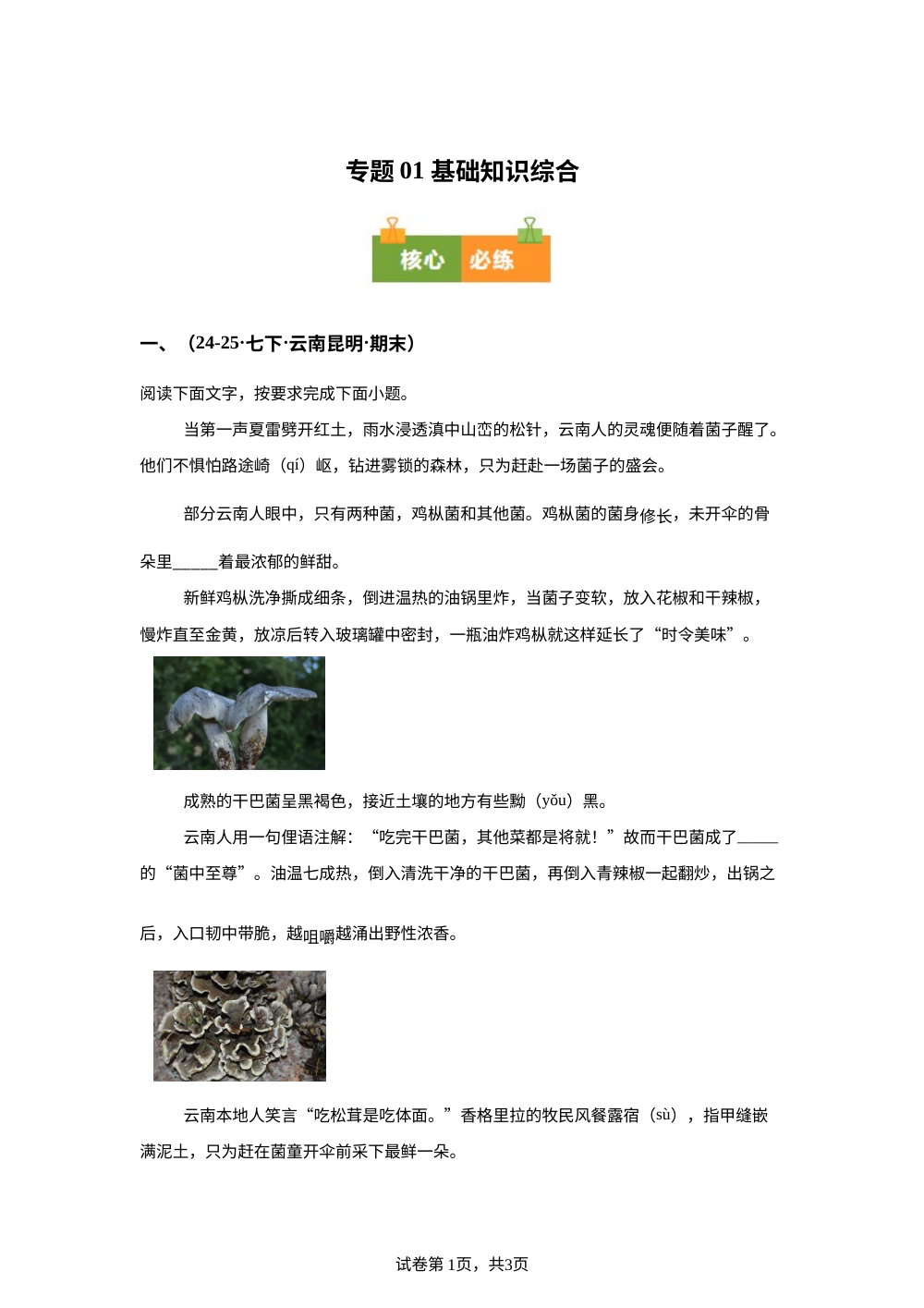 专题01 基础知识综合（期末真题汇编，云南专用）七年级语文下学期 第1页预览