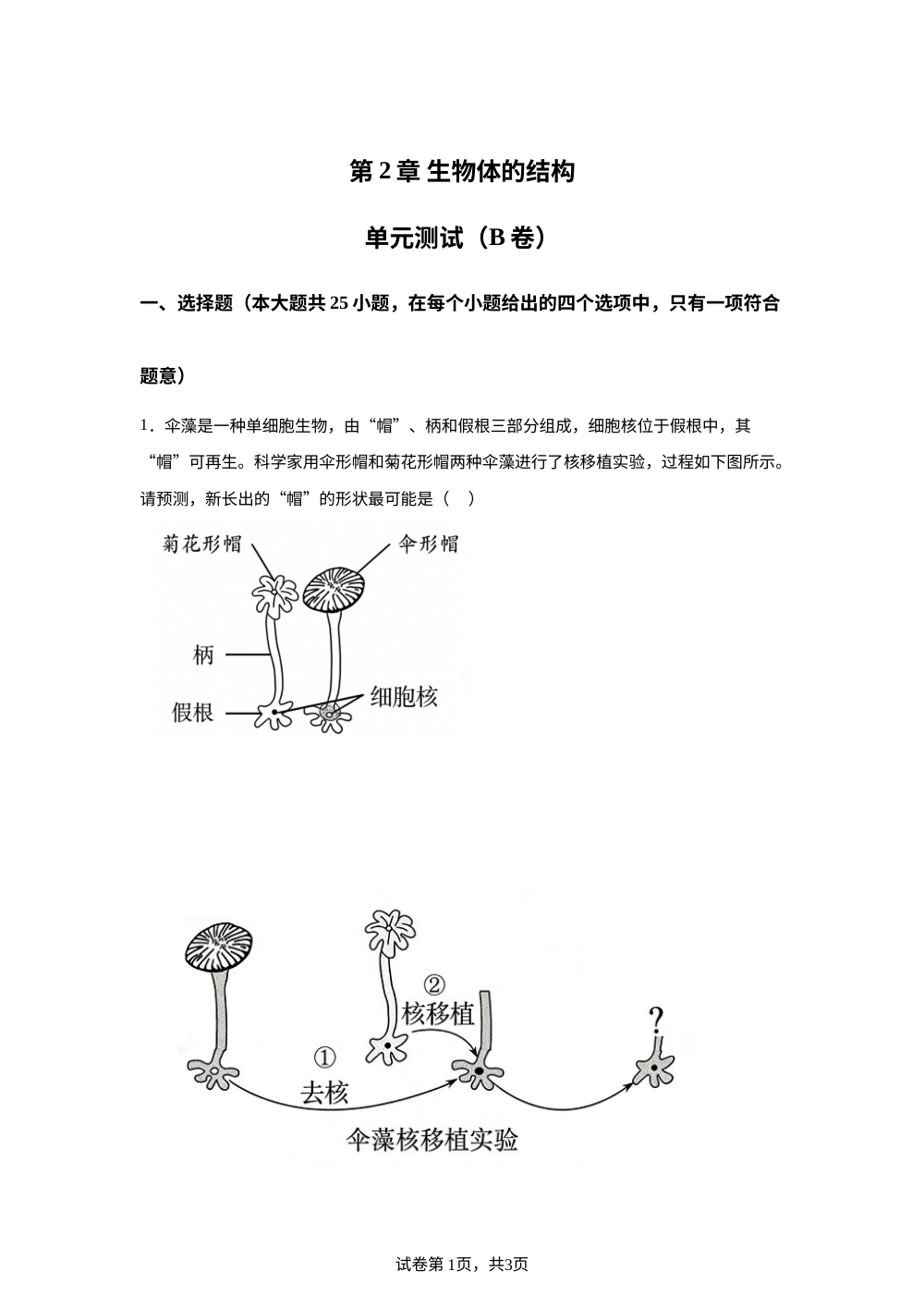 第2章 生物体的结构单元测试（B卷） 第1页预览