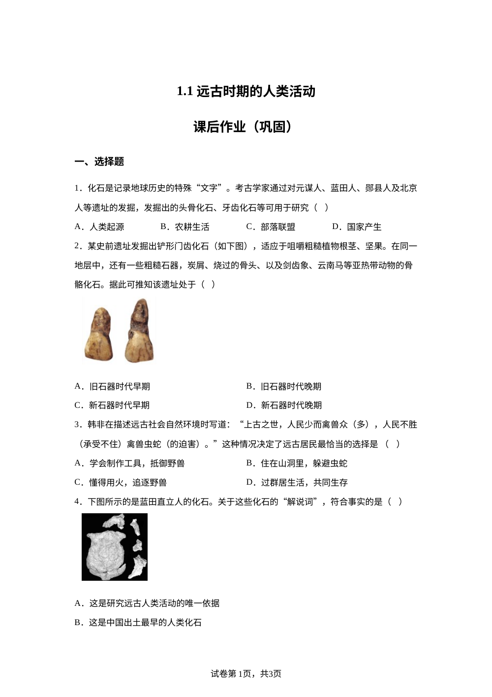 1.1 远古时期的人类活动课后作业（巩固） 第1页预览